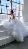 Dreaming of Elegance
