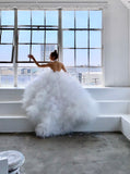 Dreaming of Elegance