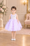 Lavender Butterfly Hues